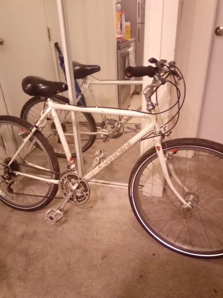 Kuwahara Mountain Bike - White