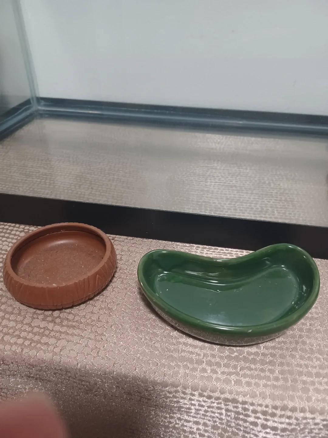 Reptile Terrarium & Accessories image indicator(6)