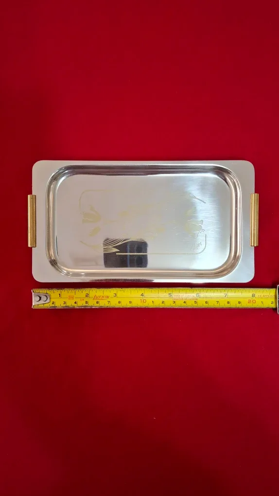 Stainless Steel Serving Tray 4"x8" image indicator(5)