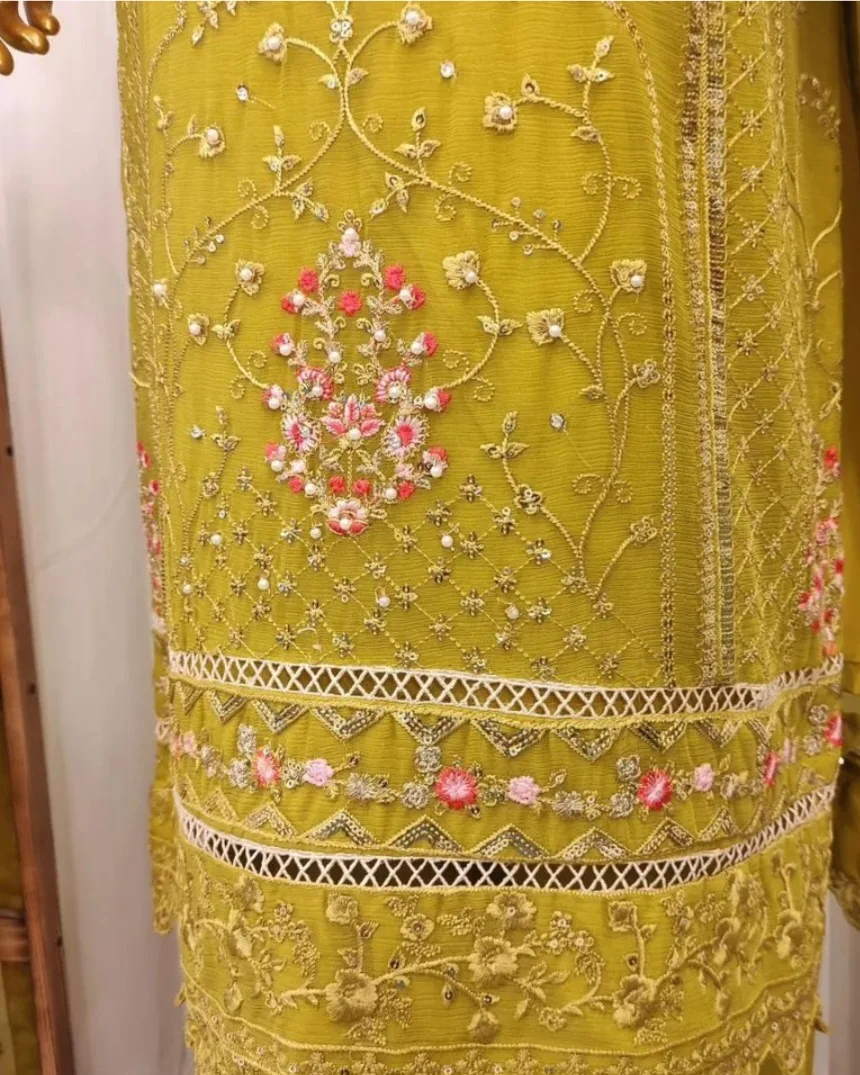 Embroidered Salwar Kameez image indicator(5)