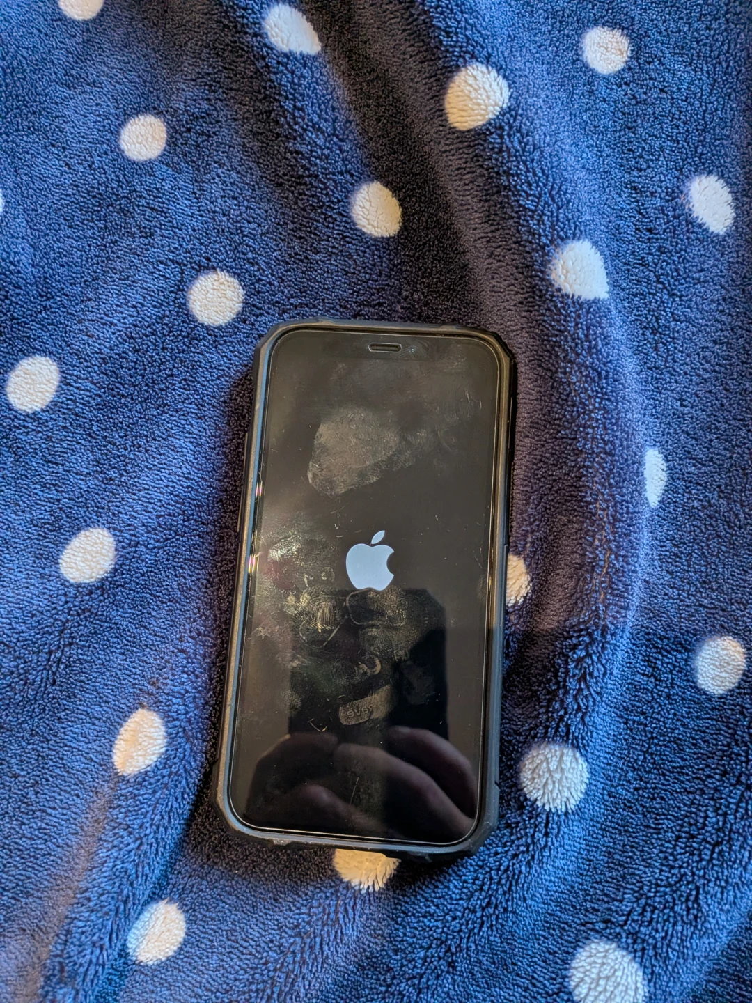 Apple iPhone 12 mini blue