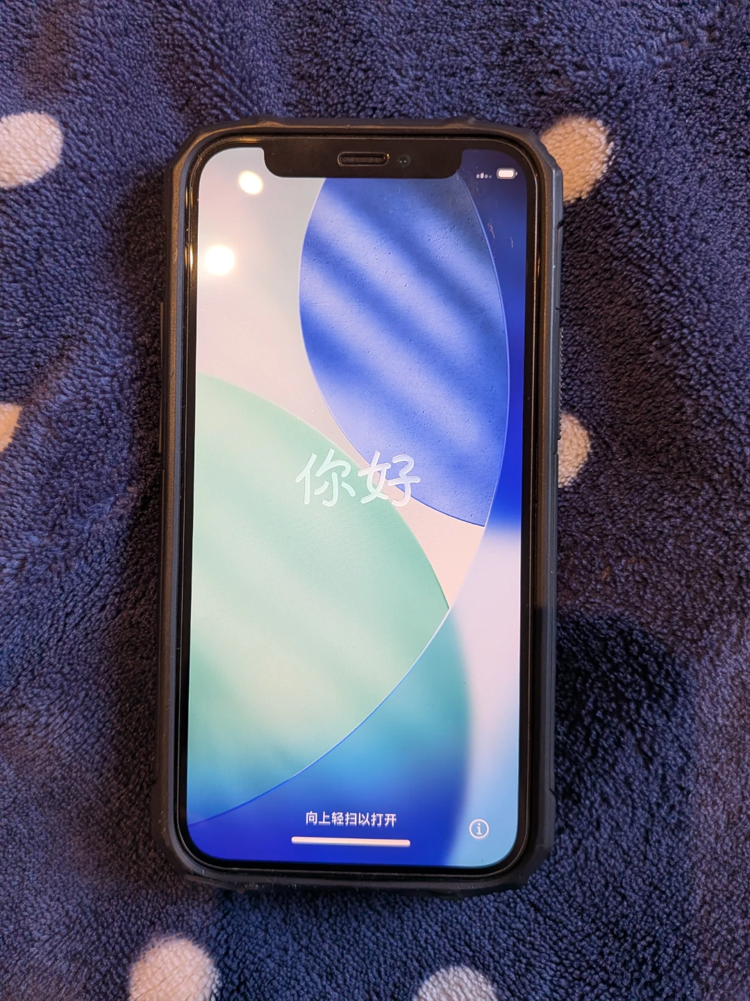 Apple iPhone 12 mini blue - photo 2