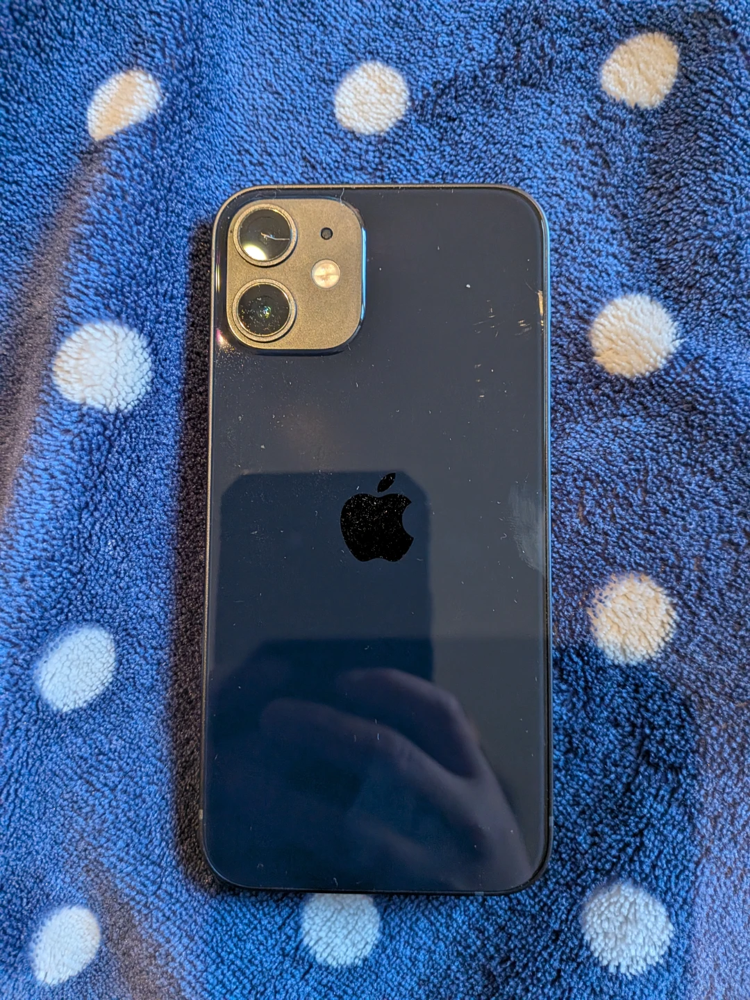 Apple iPhone 12 mini blue - photo 4