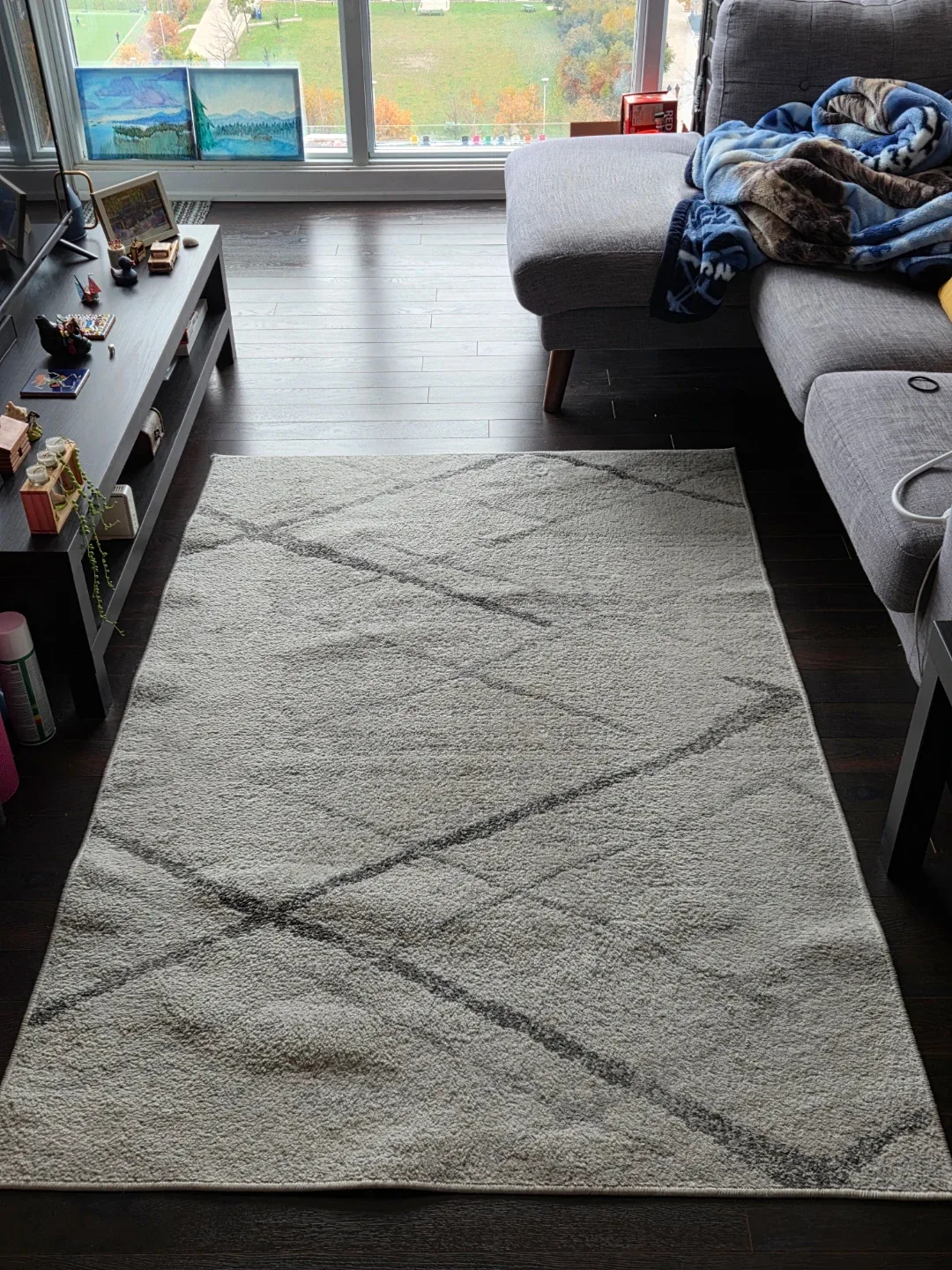 Area Rug,  4' x 6' image indicator(2)