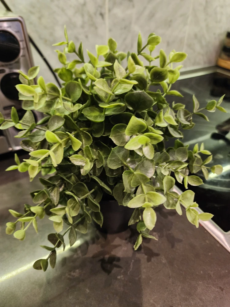 Artificial/Fake Potted Plant - photo 2