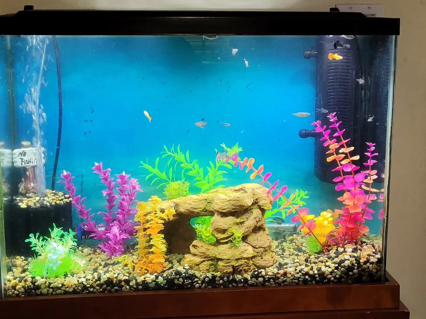 Tanks & Accessories image indicator(2)