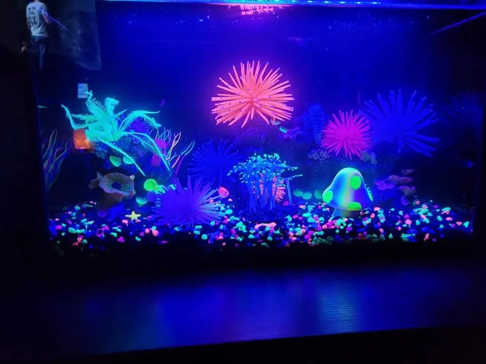 Tanks & Accessories image indicator(3)