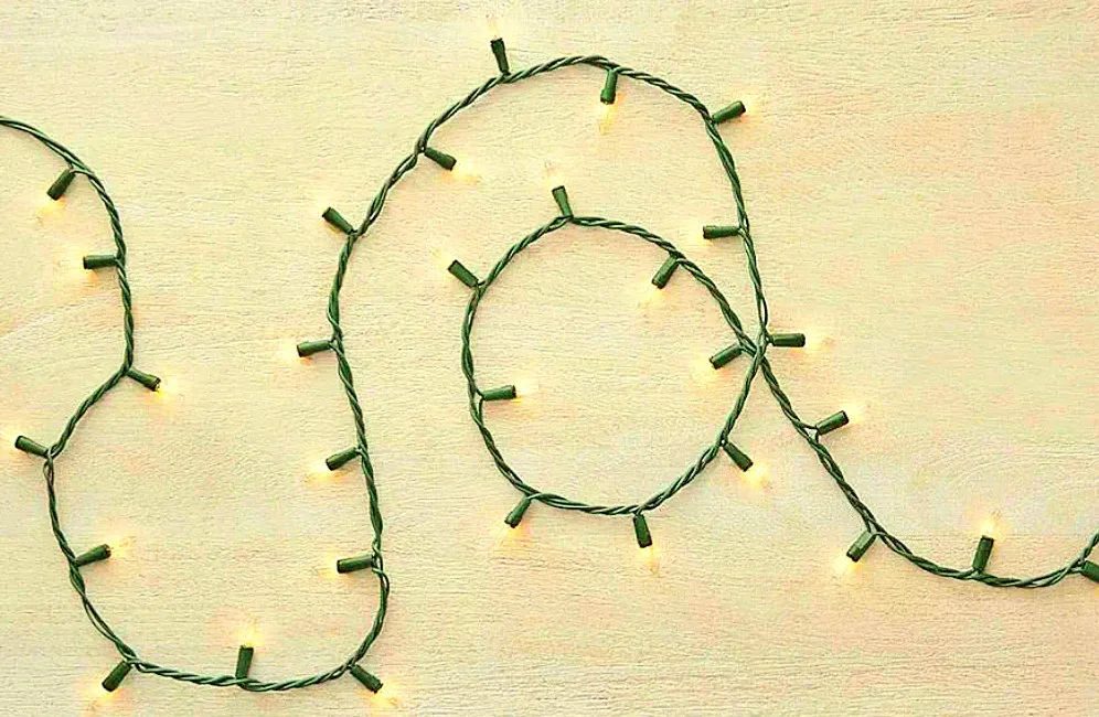 🎄Indoor/Outdoor Holiday Christmas Lights🎄