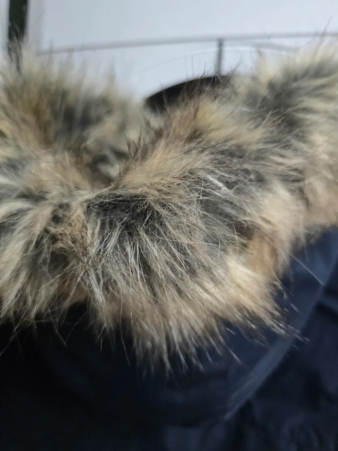 Zara Kids  Winter Parka Size 13-14 ( fits smaller )- new image indicator(4)