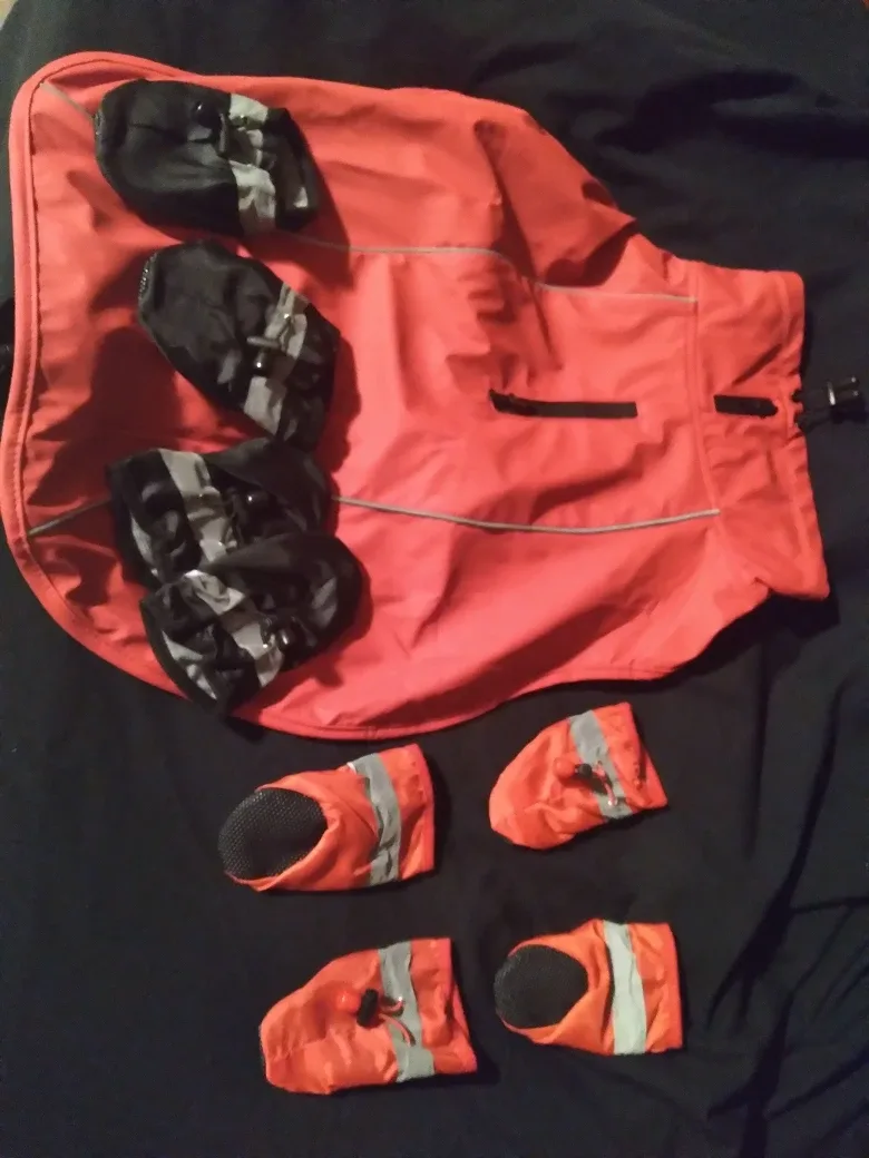 Dog rain gear -medium sized dog