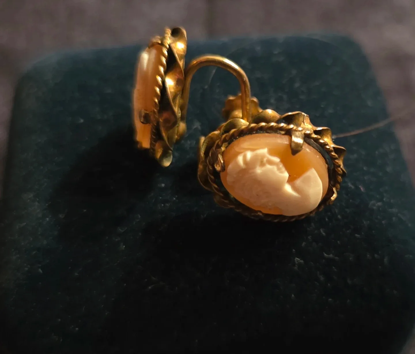 Vintage Cameo Screw-Back Earrings image indicator(3)