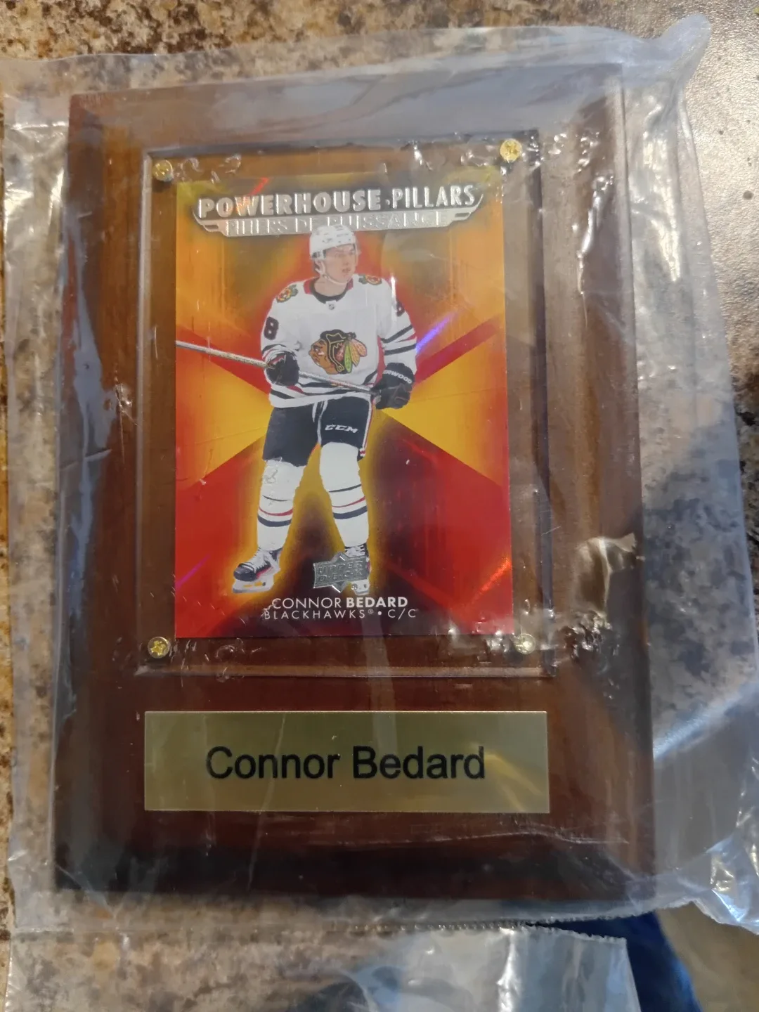 Connor Bedard Blackhawks Powerhouse Pillars Plaque