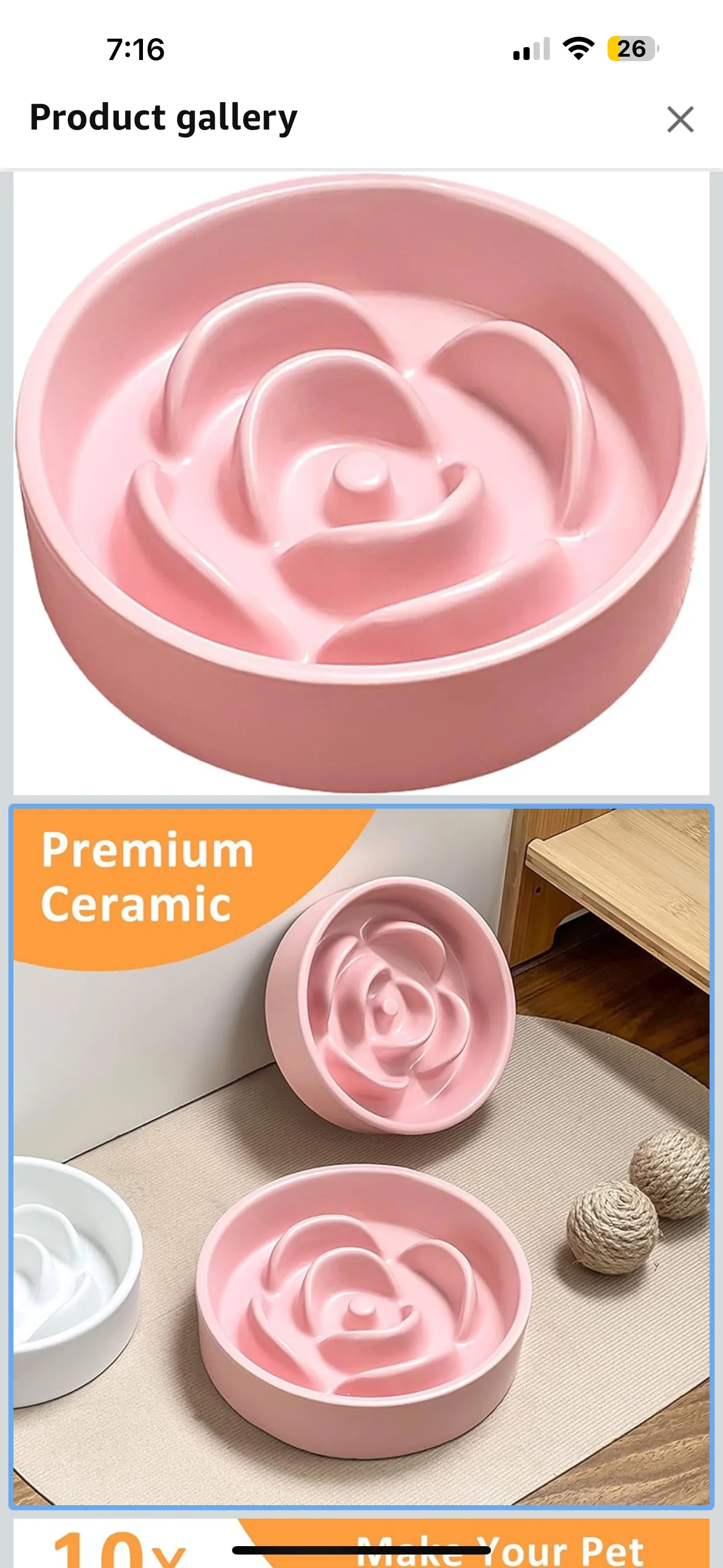 Slow feeder bowl for dogs image indicator(4)