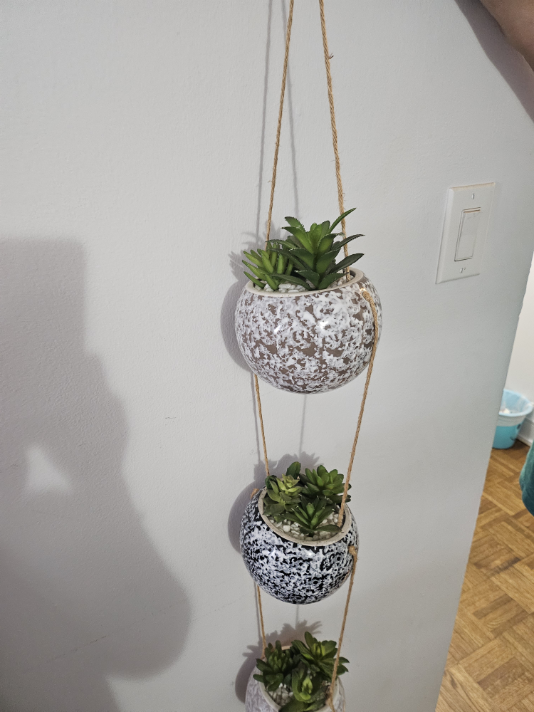 Beautiful Hanging Planter with 3 Pots(succulents). - photo 3
