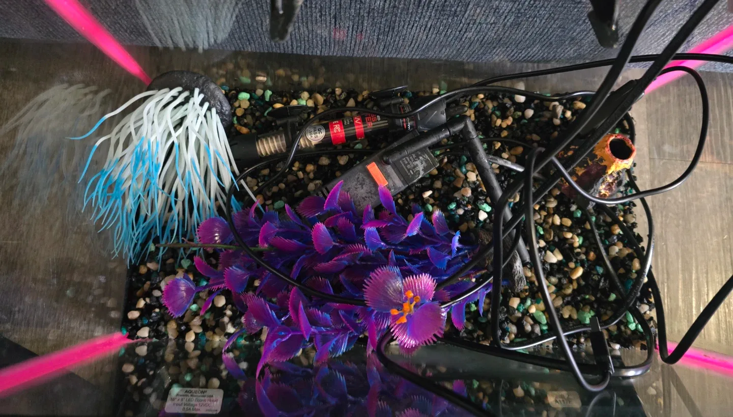 5 Gallon Fish tank with accessories image indicator(2)