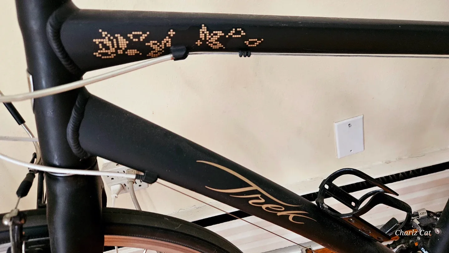 Trek WSD 19" Hybrid Bike image indicator(2)