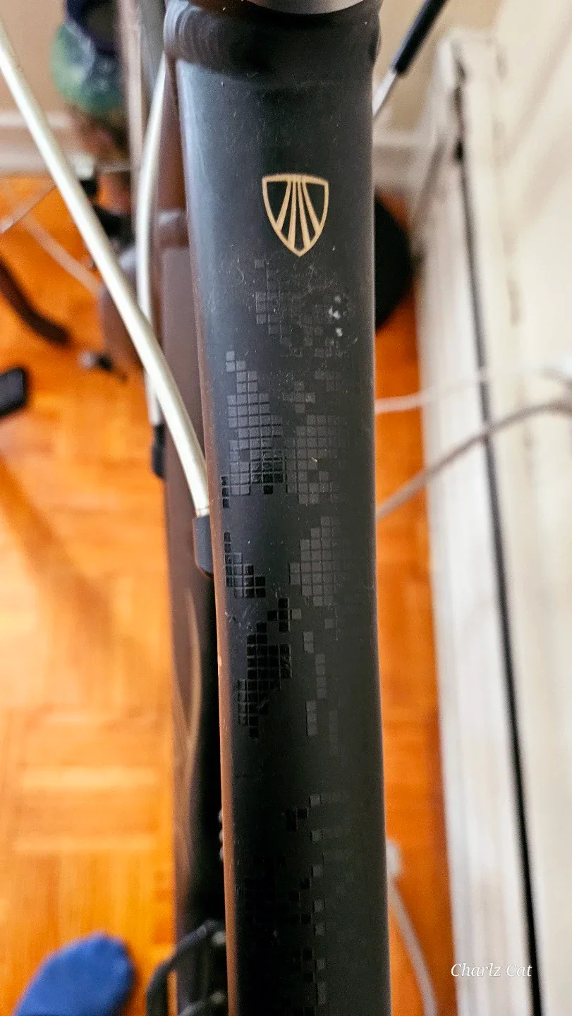 Trek WSD 19" Hybrid Bike image indicator(9)