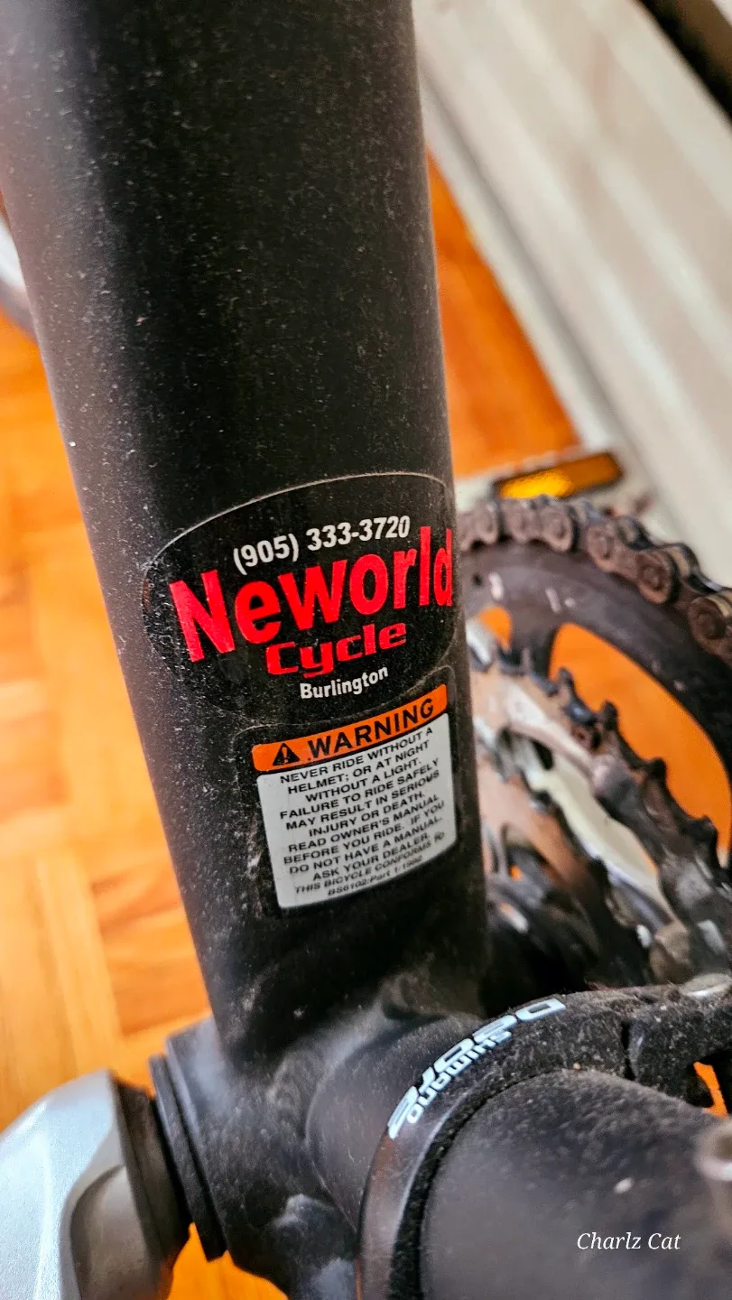 Trek WSD 19" Hybrid Bike image indicator(10)