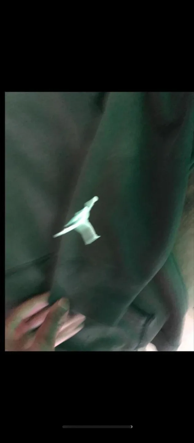 Jordan zion Williamson hoodie image indicator(3)