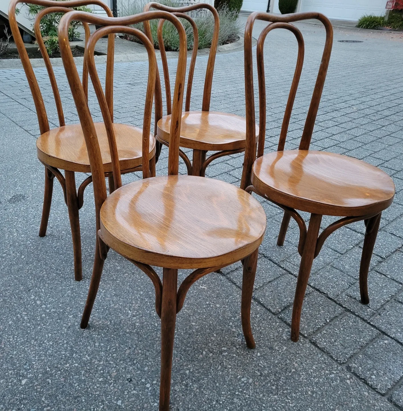 Beautiful Authentic J. & J. Kohn Bentwood Chairs-1900s Vienna