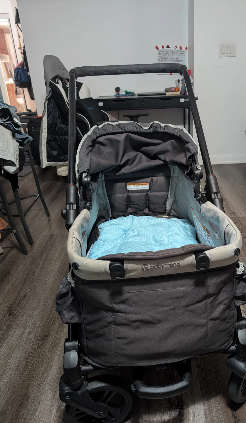 Baby Trend Expedition 2-in-1 Wagon