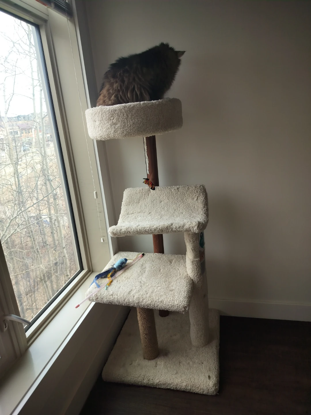 Cat Tree with Scratching Post