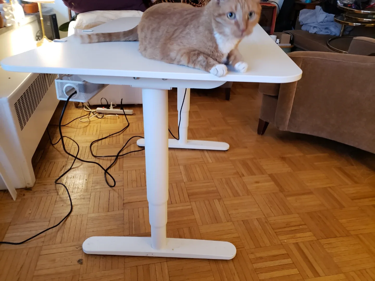 White Standing Desk image indicator(2)