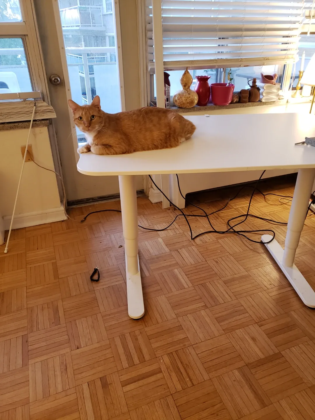 White Standing Desk image indicator(7)