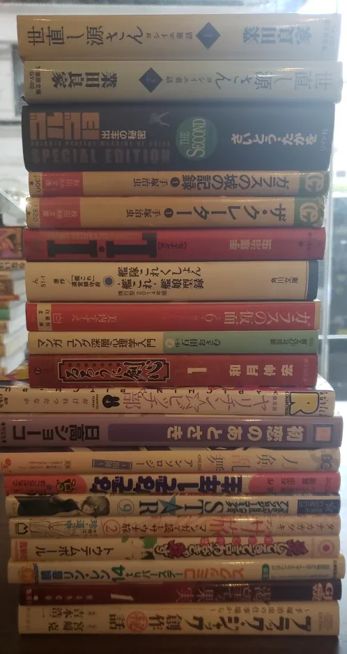 Mixed Lot of Japanese Manga Books
