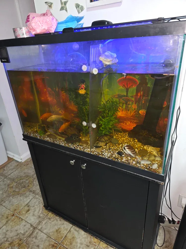 Aqueon 75 Gallon Fish Tank with Stand