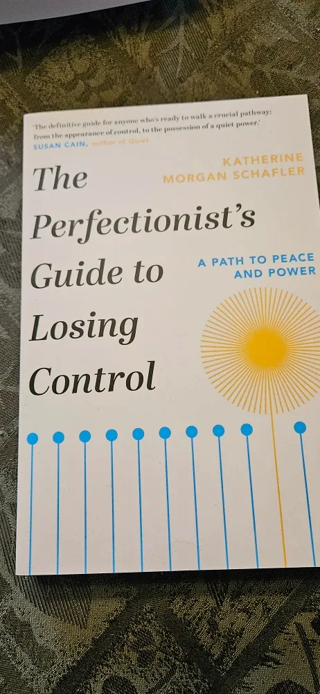 The Perfectionist's Guide to Losing Control Book