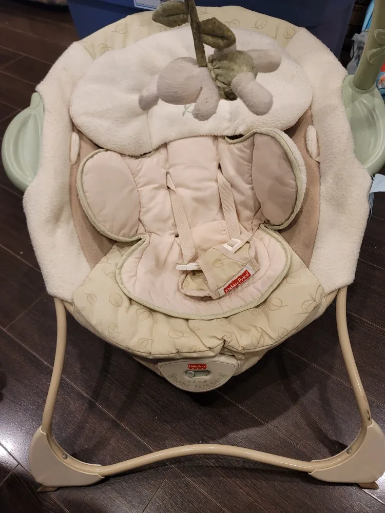 Fisher-Price Baby Papasan Cradle Swing