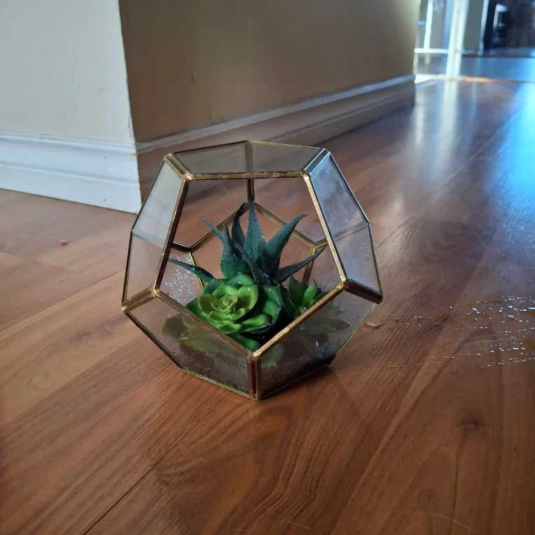 Geometric Terrarium with Faux Succulents image indicator(2)