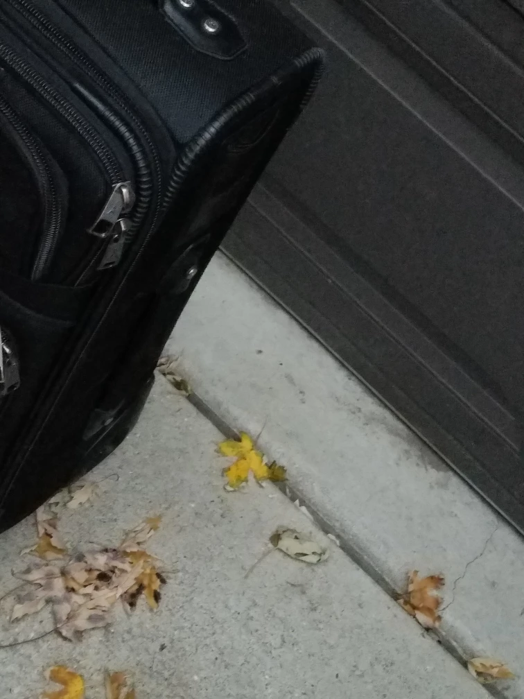 Travelpro Black Rolling Suitcase - photo 3