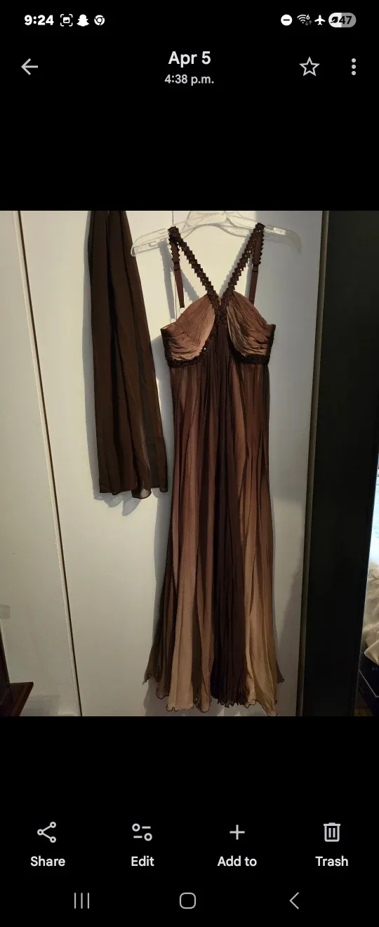 BCBG Max Azaria Long Flowing Gown / Dress