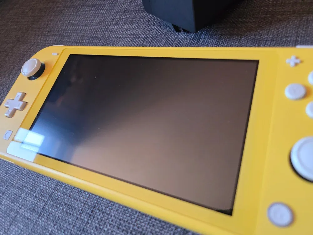 Nintendo Switch Lite image indicator(4)