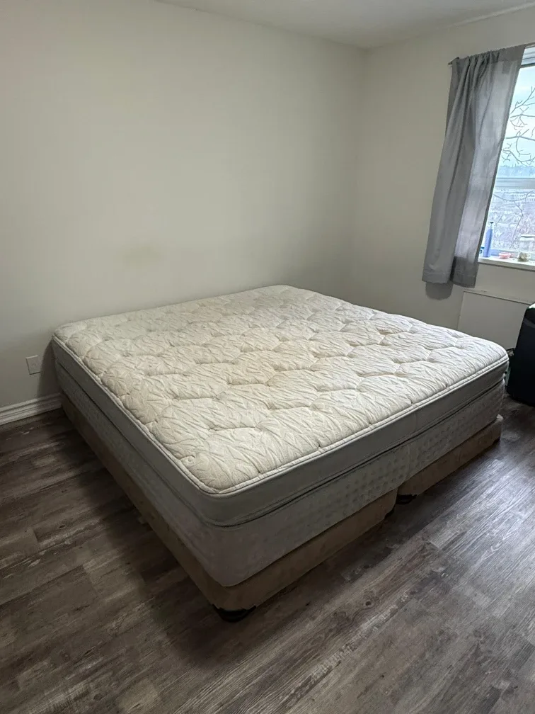 King Mattress with Box Spring image indicator(4)