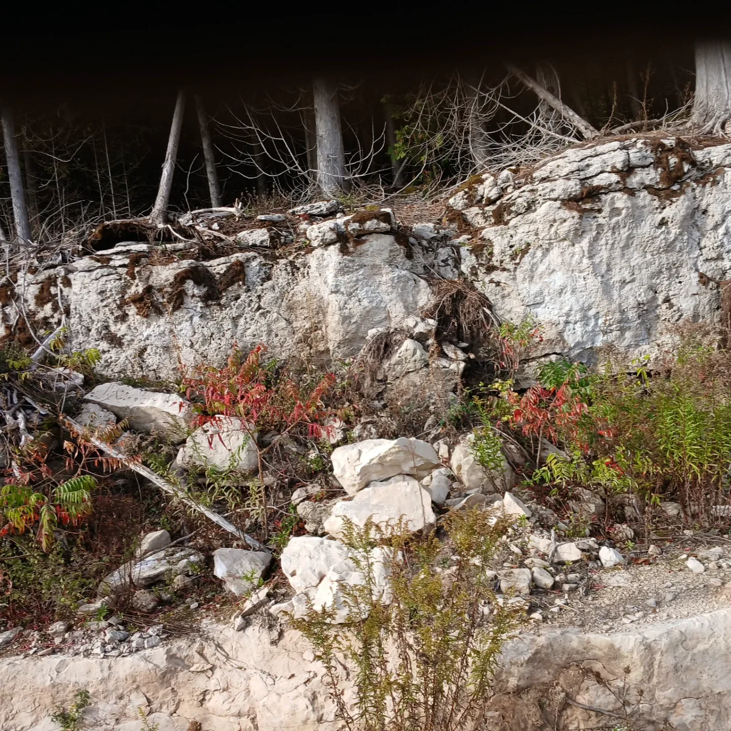 Natural stone End of season sale  low prices image indicator(5)