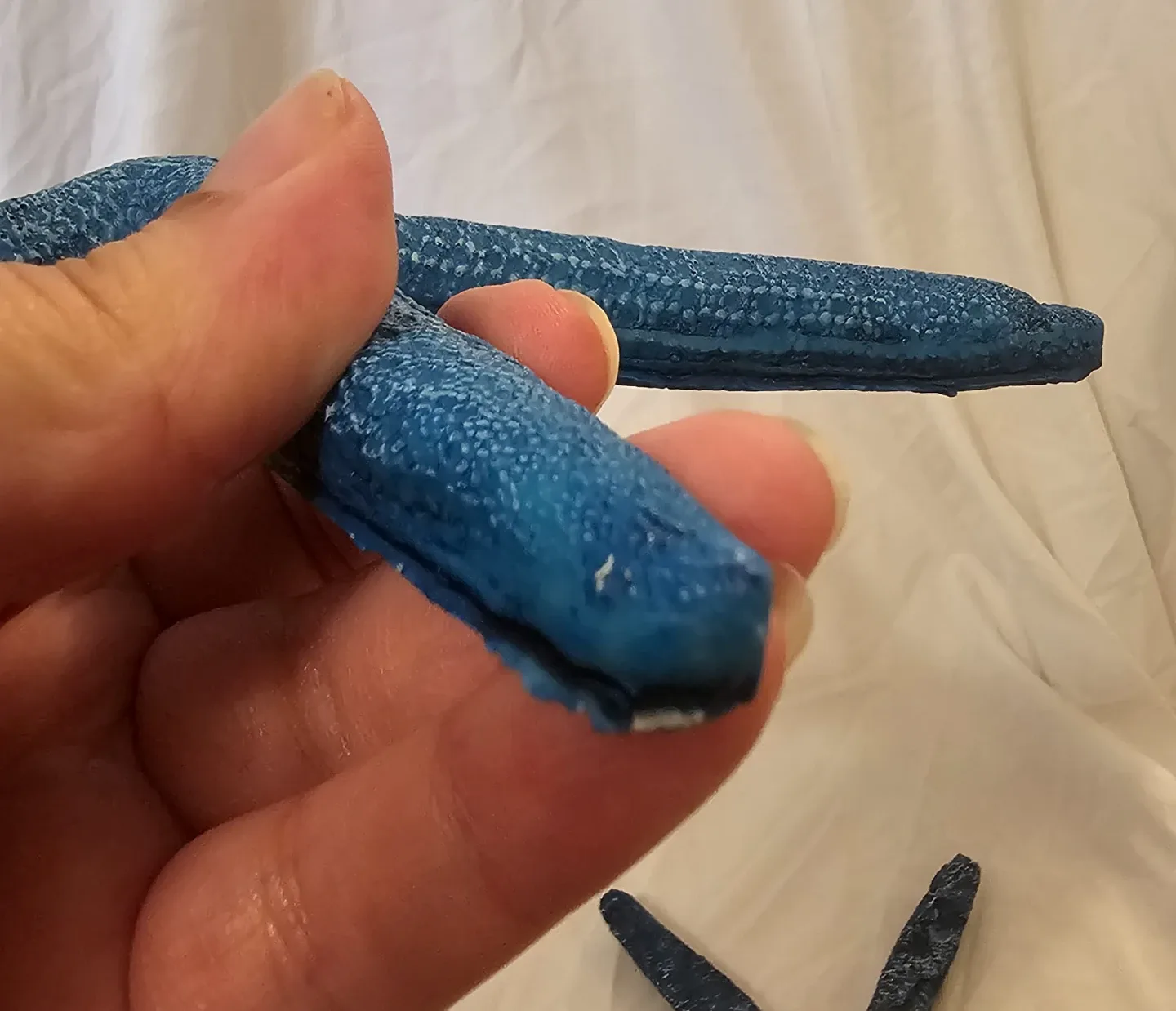 2 Blue and White Starfish Nautical Decoration image indicator(9)