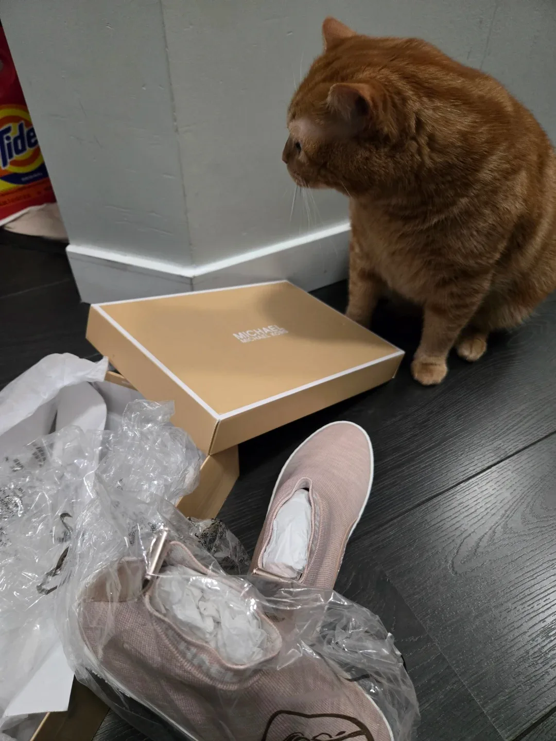 New Michael Kors Slip-On Sneakers image indicator(2)