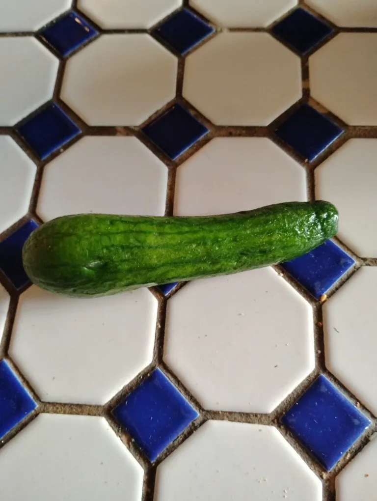 Cucumber