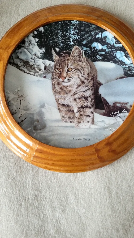 FRAMED COLLECTORS PLATE