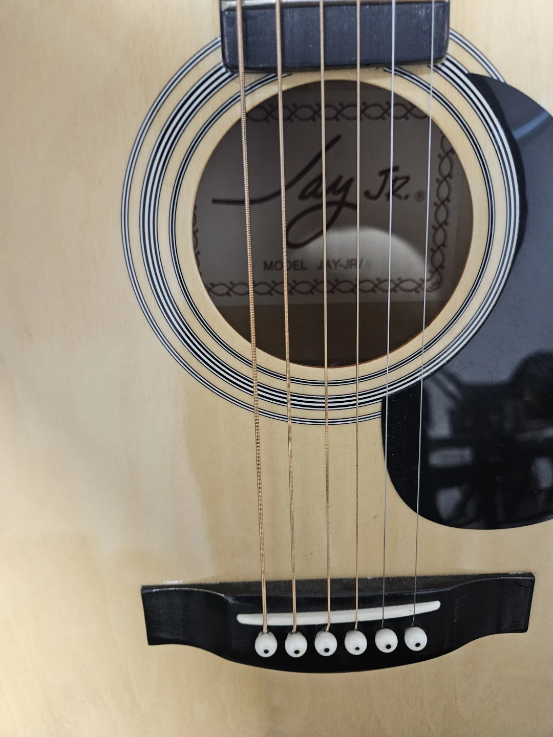 Jay Jr Acoustic Guitar with Case