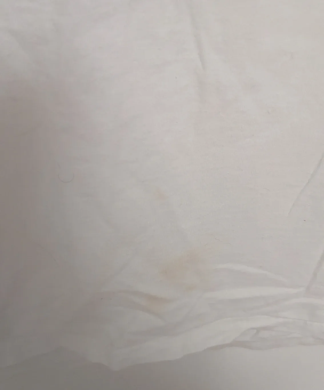 Ryan Malcolm T-Shirt (Canadian Idol) - Men's Size Small image indicator(2)