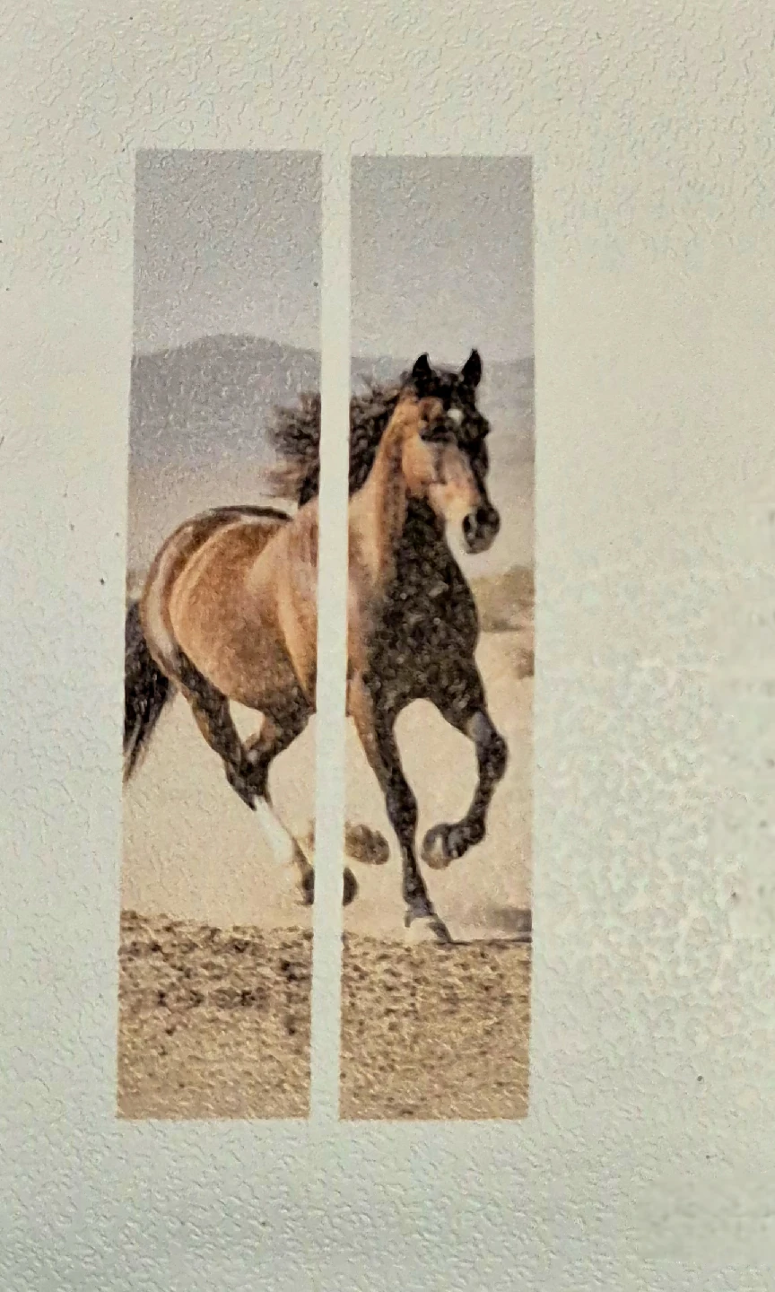Horse Peel & Stick Vinyl Door Mural 78"×30"