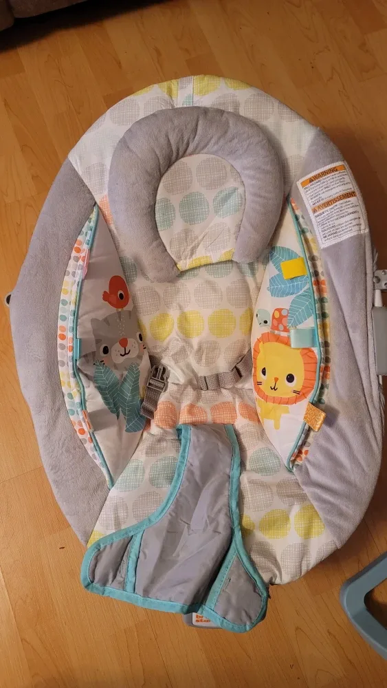 Bright Starts Baby Bouncer