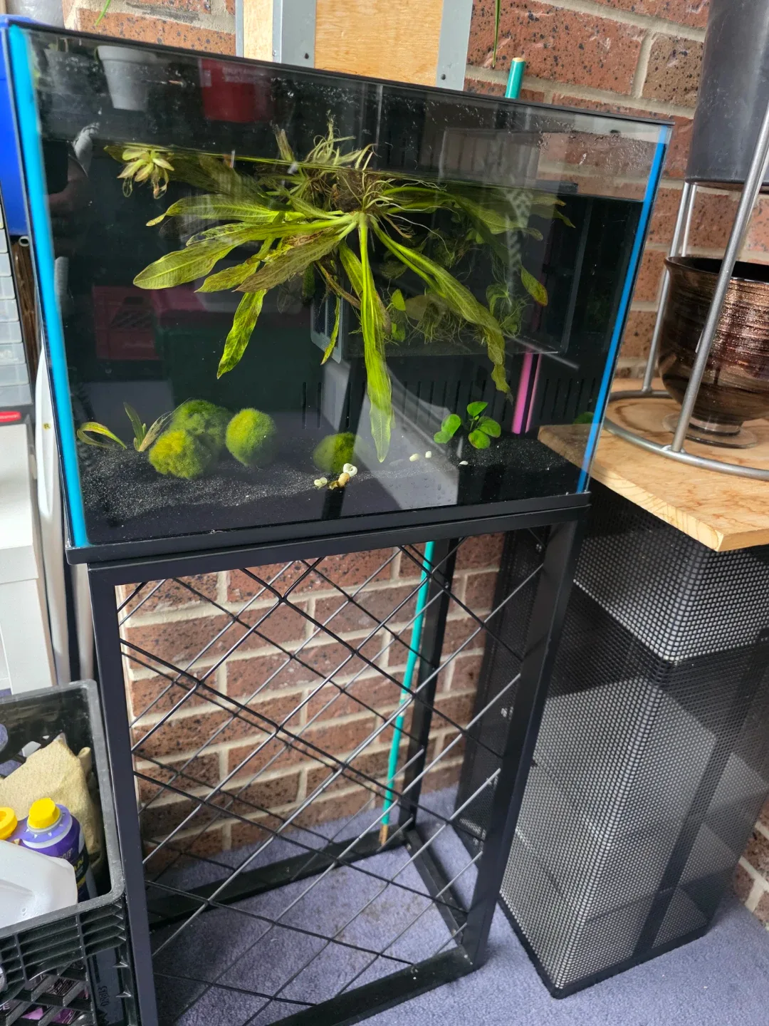 Fish Tank with Stand image indicator(2)