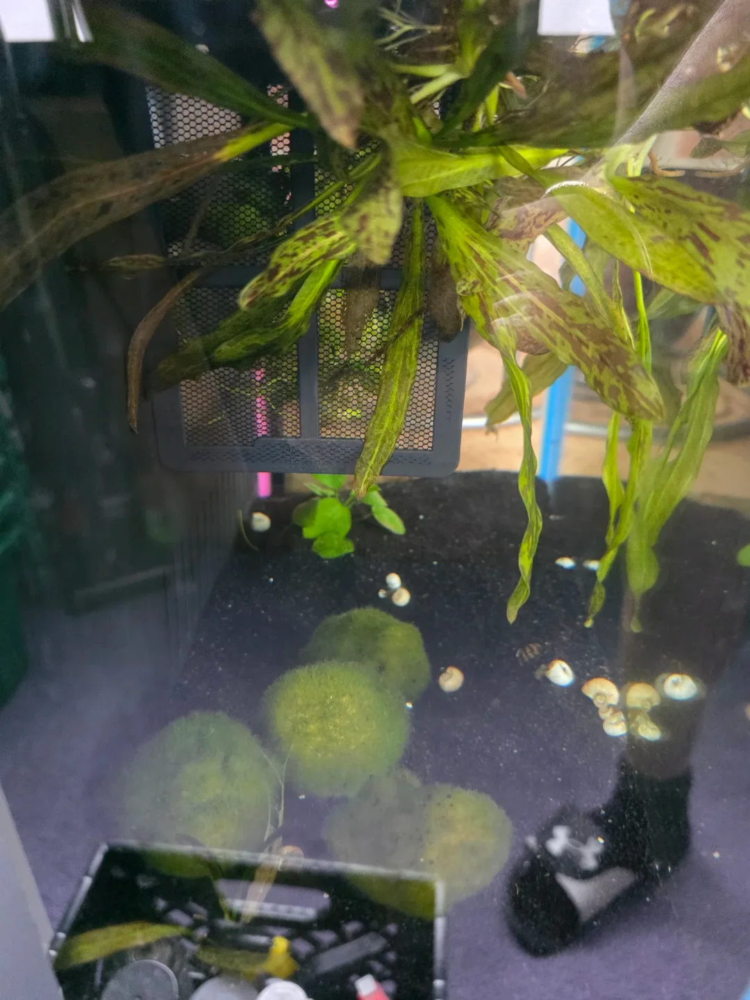 Fish Tank with Stand image indicator(3)