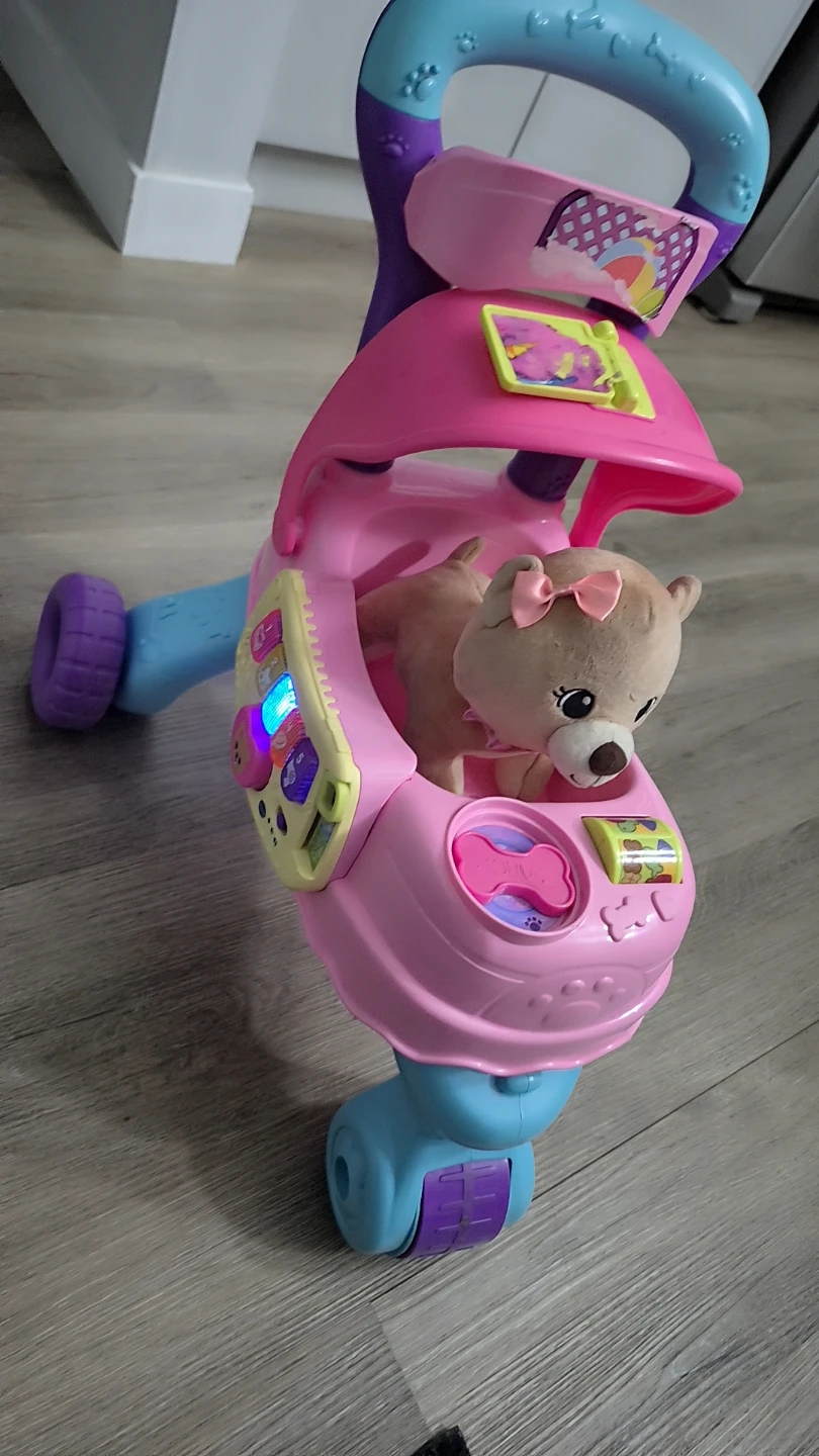 VTech Lil' Critters Walker Pink/Blue walker