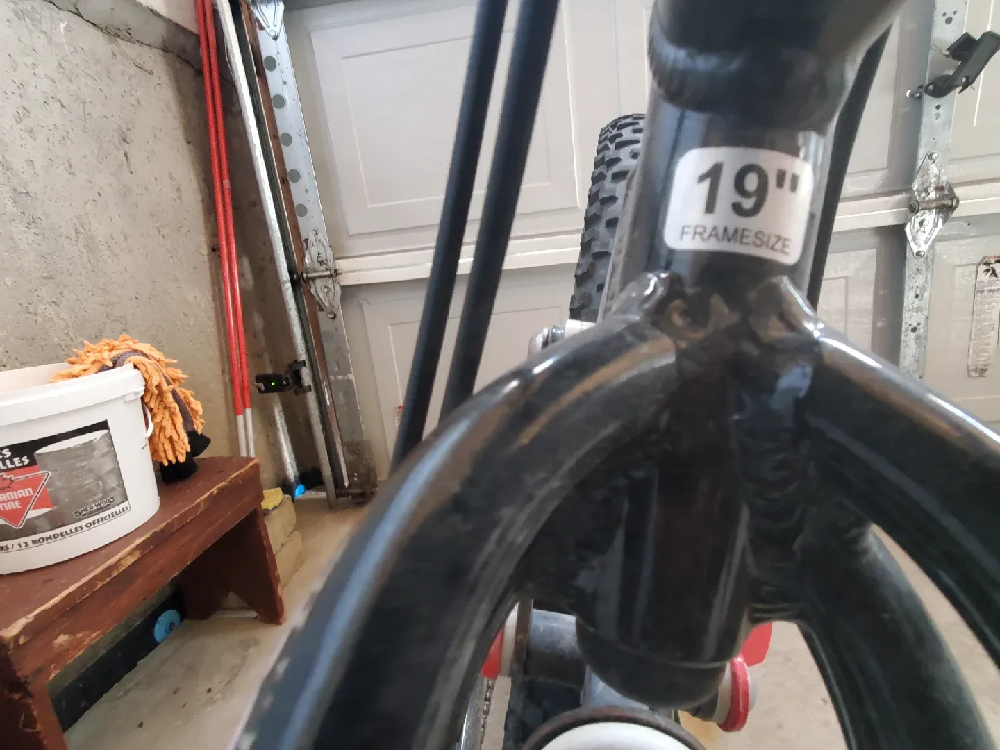 CCM Static 19" Frame Bike image indicator(2)